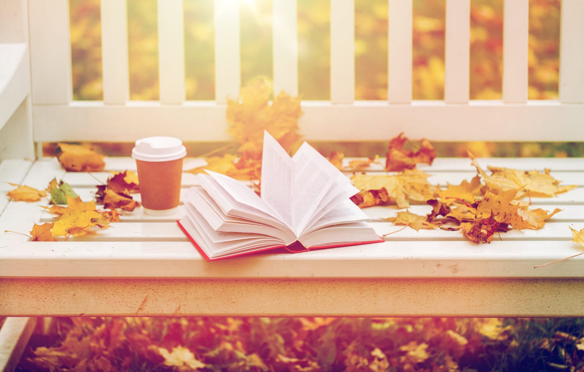 fall books