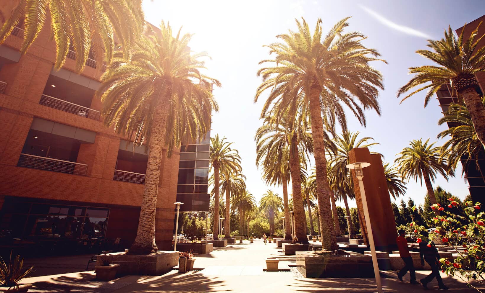 Silicon Valley m&a advisory, m&a advice, Tech companies