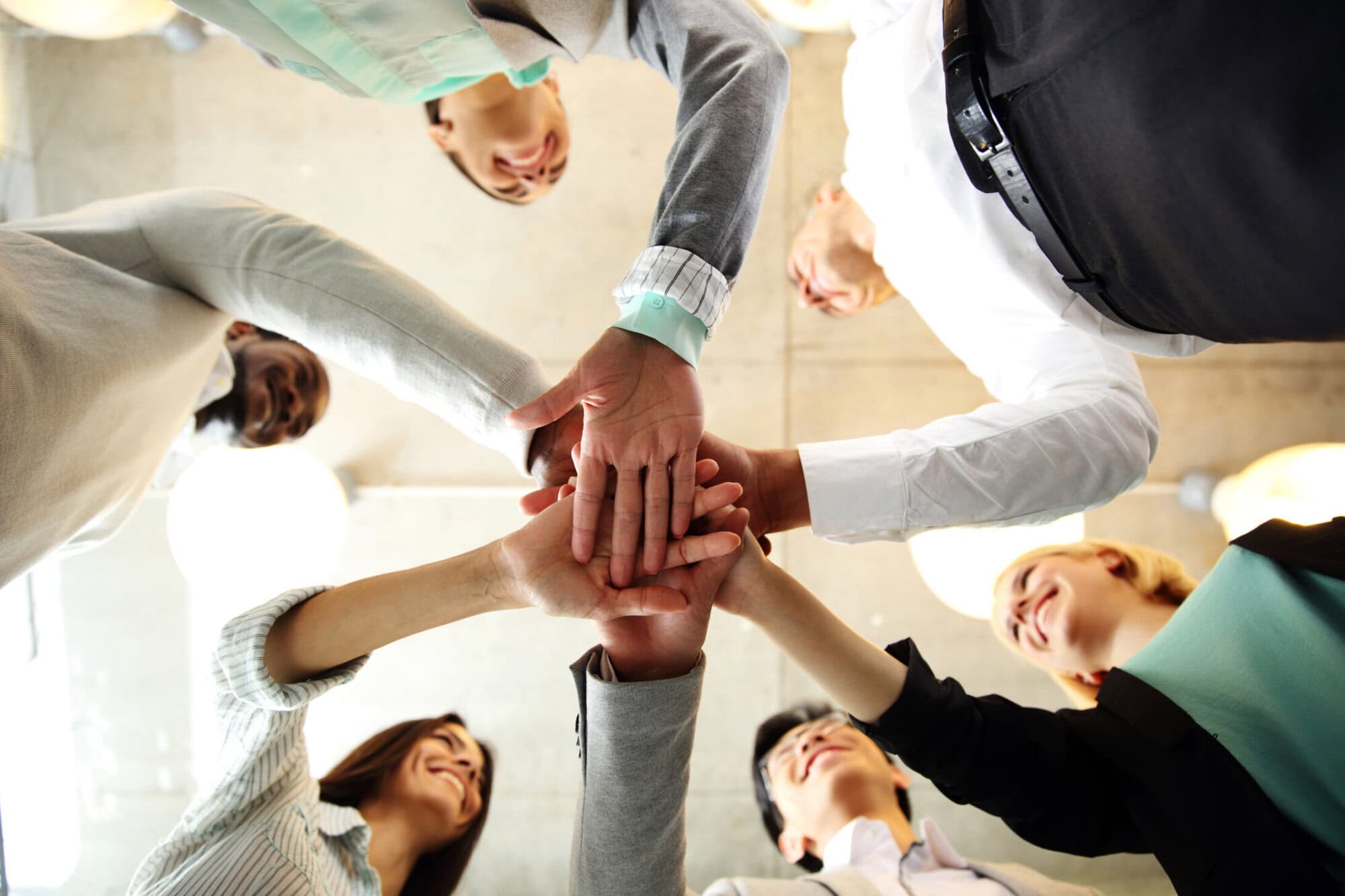 management team business
